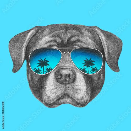 rottweiler with sunglasses