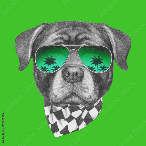 rottweiler with sunglasses