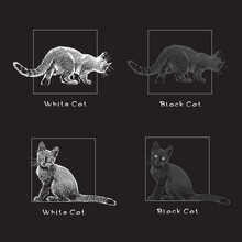 White And Black Cats On A Black Background. Vector Image, Illustration In Graphic Style.
