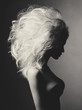 Leinwandbild Motiv Beautiful blonde woman with volume hairstyle