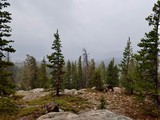 Fototapeta Krajobraz - Rainy Day in Upper Yosemite