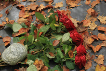 Red Roses On A Grave