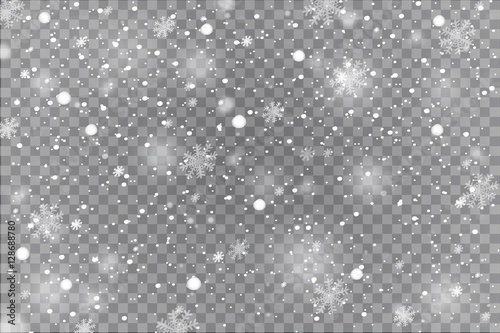 Cuadros en Lienzo Winter with snow in transparent background