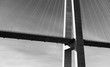 © evannovostro - Black and white photo of cable-stayed bridge