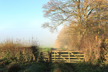 An English Landscape With A Wooden Five Barred Gate By Woodland On A Misty, Frosty Morning In Autumn