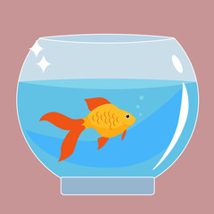 Gold fish in aquarium vector illustration flat design