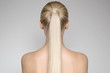 Portrait Of A Beautiful Young Blond Woman  Ponytail Hairstуle