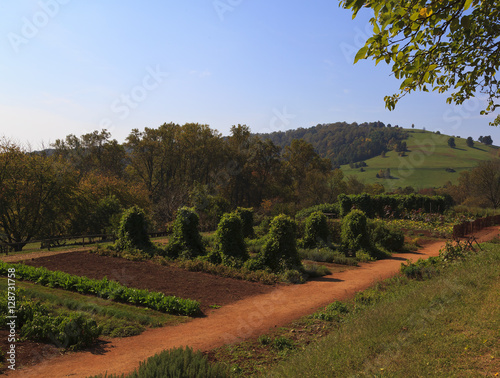 Fotografie, Obraz Vegetable Garden at Monticello, Thomas Jefferson's home