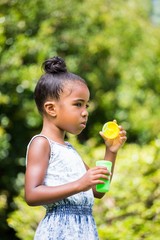 Wall Mural - Little girl making bubble in a park