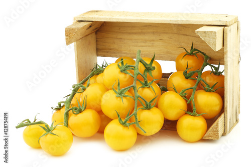 fresh dutch yellow tasty tom tomatoes on the vine in a wooden crate on a white Fototapet