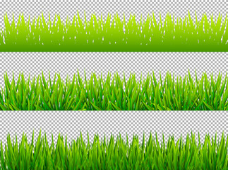 Green grass borders set on transparent background vector