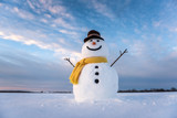 Fototapeta Na sufit - snowman