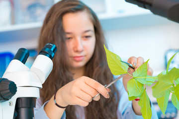 Wall Mural - girl in biological class take experiment with green plant