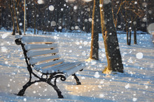  Bench In Snow In The City Park Early In The Morning