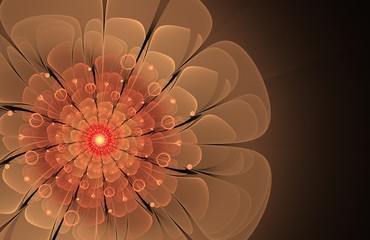 Aufkleber - abstract pink fractal flower computer generated image, background for text labels