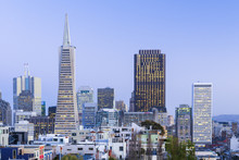 North America, USA, America, California, San Francisco, Transamerica Building And Downtown Skyline