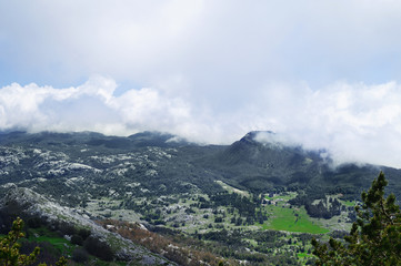 Poster - Beautiful misty mountain landscape