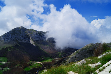 Poster - Beautiful misty mountain landscape