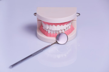 Canvas Print - Dental jaw model and mirror on table