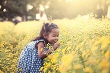 Child Asian Little Girl Smelling Flower In The Garden,having Fun