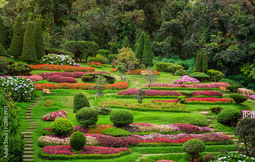 Flower garden Doi Inthanon. Chiang Mai, Thailand