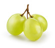 Green grape isolated on white. With clipping path.