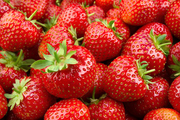 Canvas Print - Strawberry. Fresh organic berries macro. Fruit background