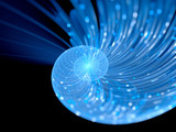 Fototapeta Do przedpokoju - Blue glowing spiral fractal