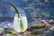 © sveta_zarzamora - Sparkling cucumber mint gin and tonic fizz with aloe vera on marble table. Copy space. Dragon tail cocktail for fans party