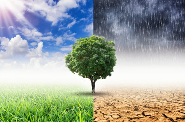 concept of climate change.