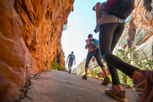 Hikers Moving Forward On The Stone Path In The Bryce Canyon, USA