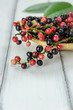 © rakT - Thai Blueberry fruits