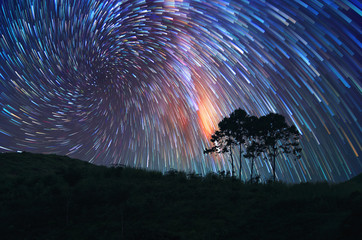 Wall Mural - milky way
