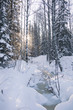 © Crazy nook - Frozen creek in winter snowy forest, Zyuratkul