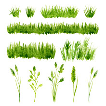 Watercolor Green Grass Set On White Background
