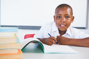 Poster - Schoolkid doing homework in classroom
