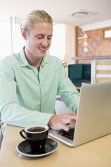 Poster - Happy man using laptop