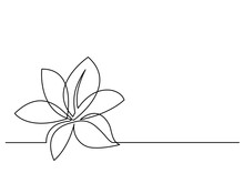Continuous Line Drawing Of Flower