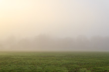 Thick Morning Fog In The Winter Landscape Still Green Field