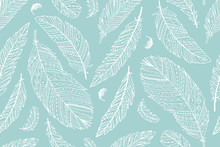 Feather Seamless Pattern For Your Design