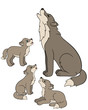 Cartoon animals. Father wolf howls with his little babies.