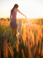 Trendy Girl In Stylish Summer Dress With Dog Friend Walking In The Field With Flowers In Sunlight,wild Nature,sunset In Mountain