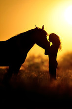 Girl And Horse Silhouette At Sunset