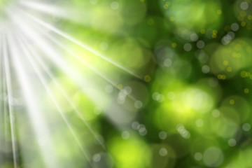 Wall Mural - abstract light