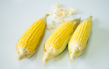 Poster - Corn