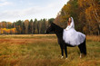 Panna młoda siedzi na koniu jesienią.