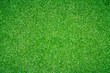 © releon8211 - green grass background