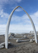 Whale Bone Arch in Barrow, Alaska
