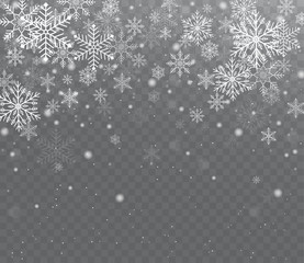 Wall Mural - falling shining transparent snow. christmas snow with snowflakes.