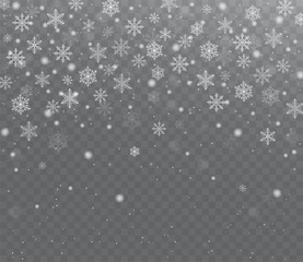 Wall Mural - falling shining transparent snow. christmas snow with snowflakes